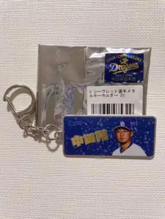 中日ドラゴンズ シークレット メタルキーホルダー 中田翔選手