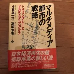 マルチメディア都市の戦略 シリコンアレーとマルチメディアガルチ