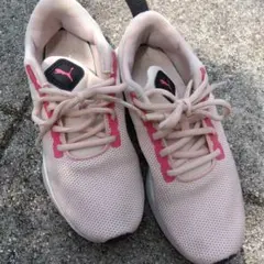PUMA ピンク スニーカー ２２センチ