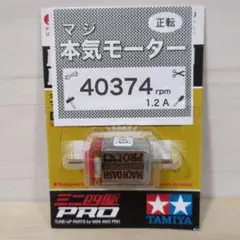 Item thumbnail for item 9e2fde31-262a-4f62-bc69-5ff51eb05f65