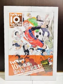 【新品】ハイキュー !! 10th クロニクル グッズ付き 同梱版