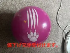 900グローバル　ハニーバジャー　ピンクポリ15P
