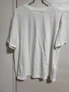 綿100% 白Tシャツ L