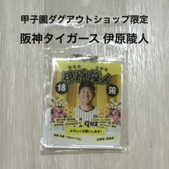 新品　阪神タイガース 伊原陵人2025 ルーキー自己紹介 アクリルキーホルダー