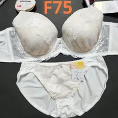 Item thumbnail for item af0b8e91-c132-409d-ade4-59168911eb1d