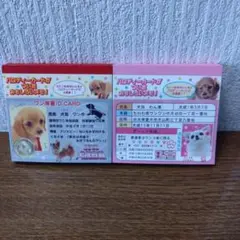 Item thumbnail for item af9b9674-f2ad-4f7a-a673-ca4a139c48be