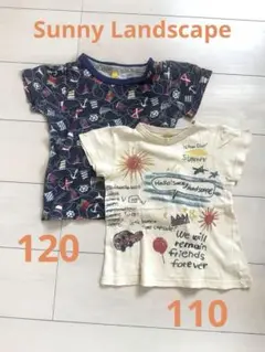 サニーランドスケープ Tシャツ　2枚セット　110 120