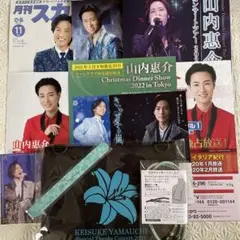 2025年最新】山内惠介ファンクラブ限定の人気アイテム - メルカリ