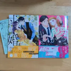 焦らされ御曹司がストーカーのように求婚してきます1他二冊セット