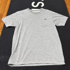 THE NORTH FACE グレー Tシャツ