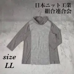 Item thumbnail for item ed6736d2-6187-453e-8745-31be75ee3978