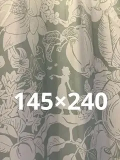 ディズニー　白雪姫　カーテン