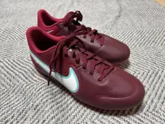 新品 NIKE ティエンポ レジェンド 9 アカデミー HG 24.0cm