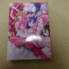 君のことが大大大大大好きな100人の彼女 14