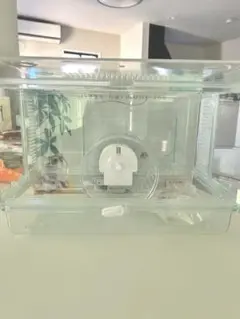 Item thumbnail for item e27d879d-234f-4c20-9ac2-50b87c36c890