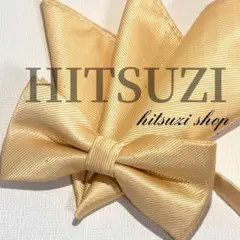 Item thumbnail for item 4d605329-41c6-4269-b187-87c4a30b0818