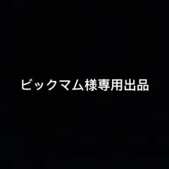 専用出品