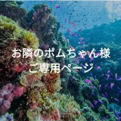 お隣のポムちゃん様ご専用ページ