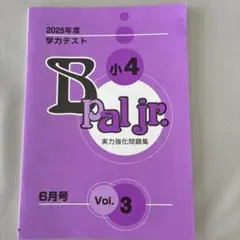 【最新版】2025年度6月号小4学力テストB/育伸社