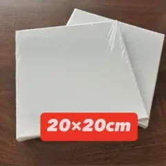 キャンバス　20×20センチ　ファーストアート　2枚