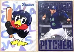プロ野球チップス2025 ヤクルトセット