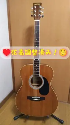 ❤️弦高調整済！「HONEYBEE ハニービー F-15/N」o(^o^)oいい Amazon | HONEY BEE ハニービー アコースティックギター