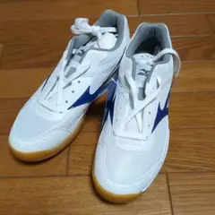 Item thumbnail for item 09aa319f-00da-42c6-a056-ae8b8203a44d