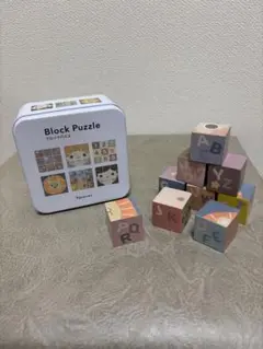 【おでかけに！】木製ブロックパズル 9ピース