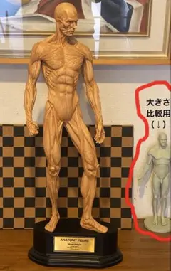 2025年最新】スクリーミング マッド ジョージの人気アイテム