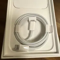 Apple Lightningケーブル 純正品