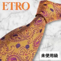 未使用級　ETRO　ネクタイ　ペイズリー　刺繍　ジャガード　紳士服　エトロ