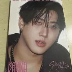 straykids KARMA 新品未開封 アコーディオン盤 チャンビン
