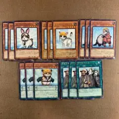 No.12087 遊戯王 レスキューラビット レスキューキャット 他