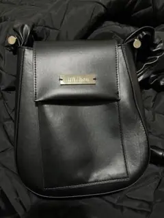 Item thumbnail for item d050c24f-d134-4c86-91e2-047a827d9fec