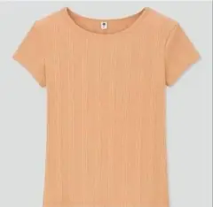 Item thumbnail for item e2ec959a-cbdf-445b-8fb9-b07339d2ceee