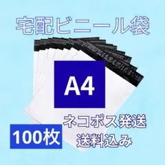ネコポス送料込！ 宅配ビニール袋 Sサイズ(A4)100枚