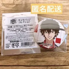 【新品未使用】新テニスの王子様　切原赤也　キャラバッジコレクション　缶バッジ