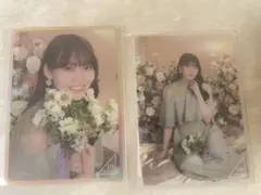 Item thumbnail for item 8062d90a-d887-41d4-a120-27eb63cce03c