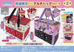 Sanrio 保温保冷BIGマルチバッグ Ver.9 クロミ