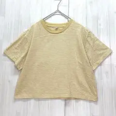 UNIQLO ユニクロ　スラブジャージーボーダークロップドTシャツ　L