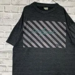 USA製90sヴィンテージTシャツ！シングルステッチ　グレー半袖古着　XL728