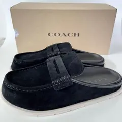 Item thumbnail for item 33c7c6f0-22f2-406f-83b7-2f5ec4706c9e