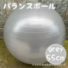 694 バランスボール グレー シルバー　トレーニング　ヨガ　55cm
