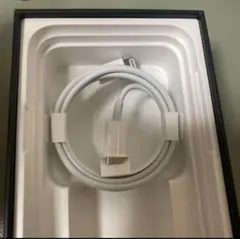 iPhone 充電器 純正 タイプCライトニングケーブル Apple正規品