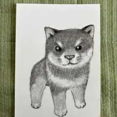 犬のイラスト ポストカード A5サイズ