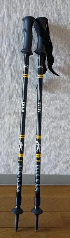 トレッキングポール2段式