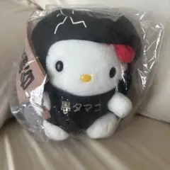 ハローキティ - レトロ　ご当地キティ　ぬいぐるみ　かに道楽　お月見キティ レトロ ご当地キティ ぬいぐるみ かに道楽 お月見キティ - メルカリ