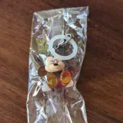 Item thumbnail for item e16844ca-ce04-4954-b36d-56884ef016b8