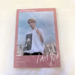 straykids スキズ トレカ ハン i am you ポラロイド
