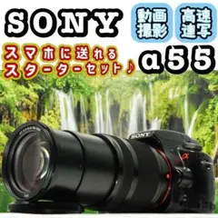 Item thumbnail for item 3ee27856-77db-41d1-923c-c4cdfdc1c79e